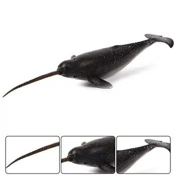 Micro Paisagem Brinquedo Educacional Ciências Da Natureza Simulação Sealife Marine Organismo Vivo Narval Modelo De Baleia Figurine 2